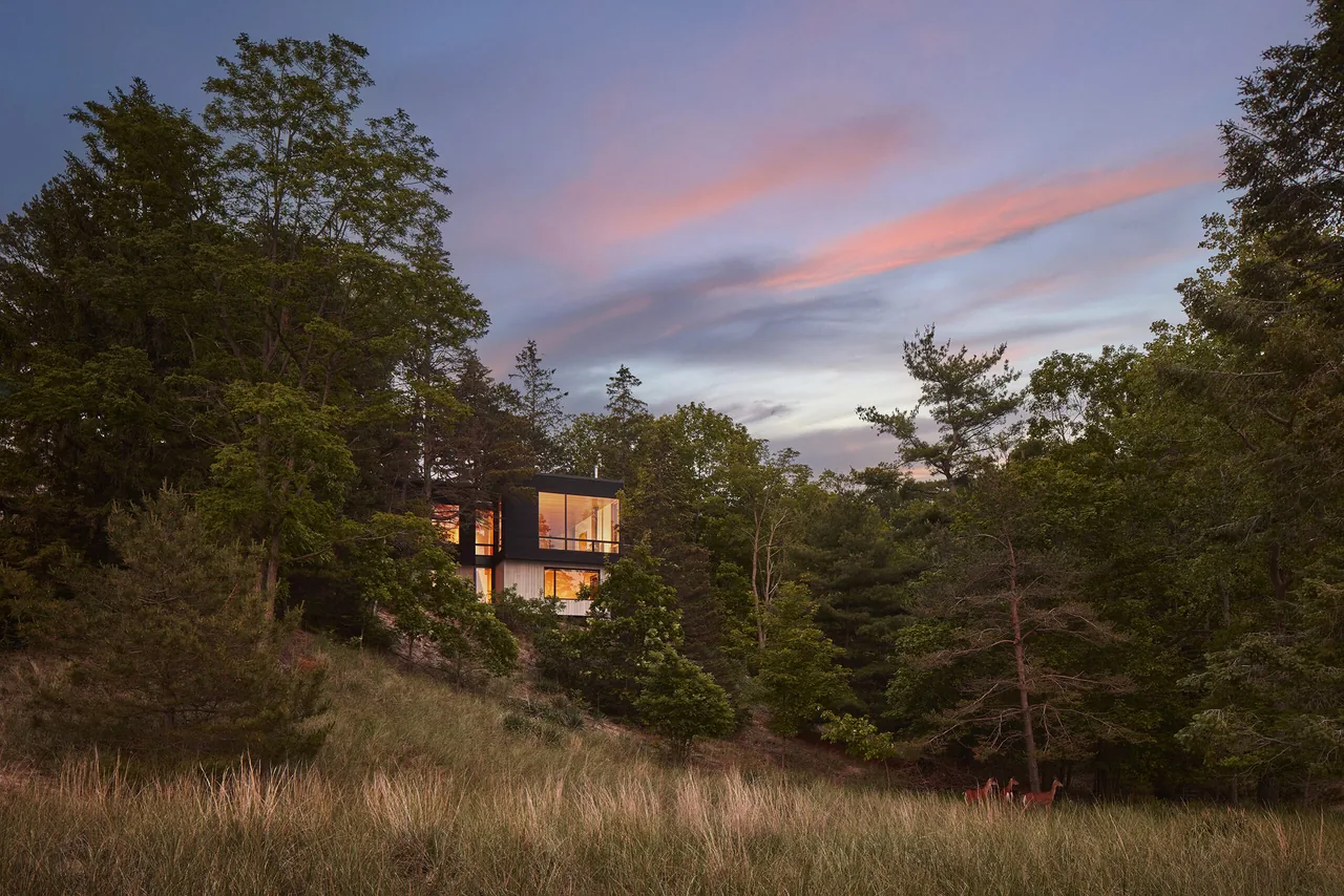 Modern two-story house with large windows illuminated at dusk, nestled on a wooded hillside with tall grass and trees surrounding it under a