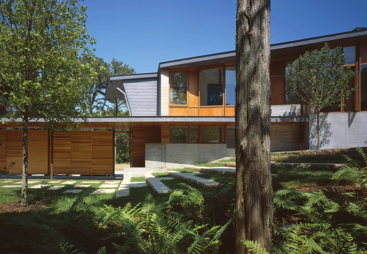 Modern home exterior with wood siding, concrete steps, and large windows surrounded by trees and ferns.