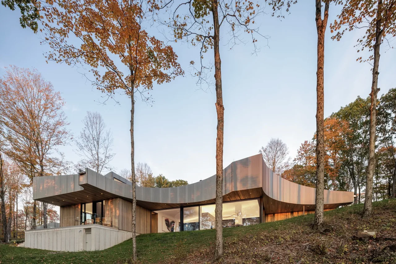 Single-story modern home with curved metal roof set on a woodland hillside in autumn.