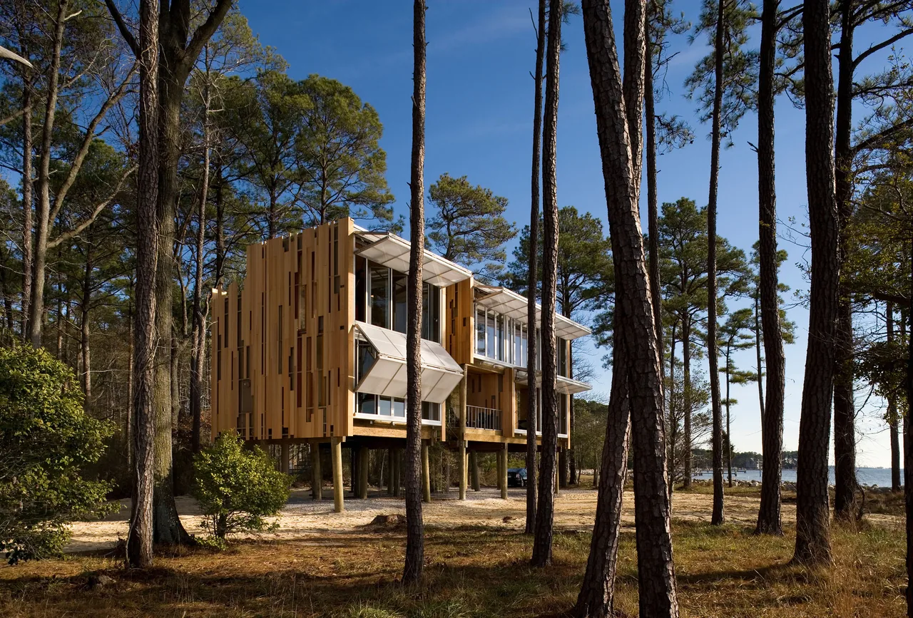 Wood-sided house on stilts among tall pine trees near a body of water under a clear sky.