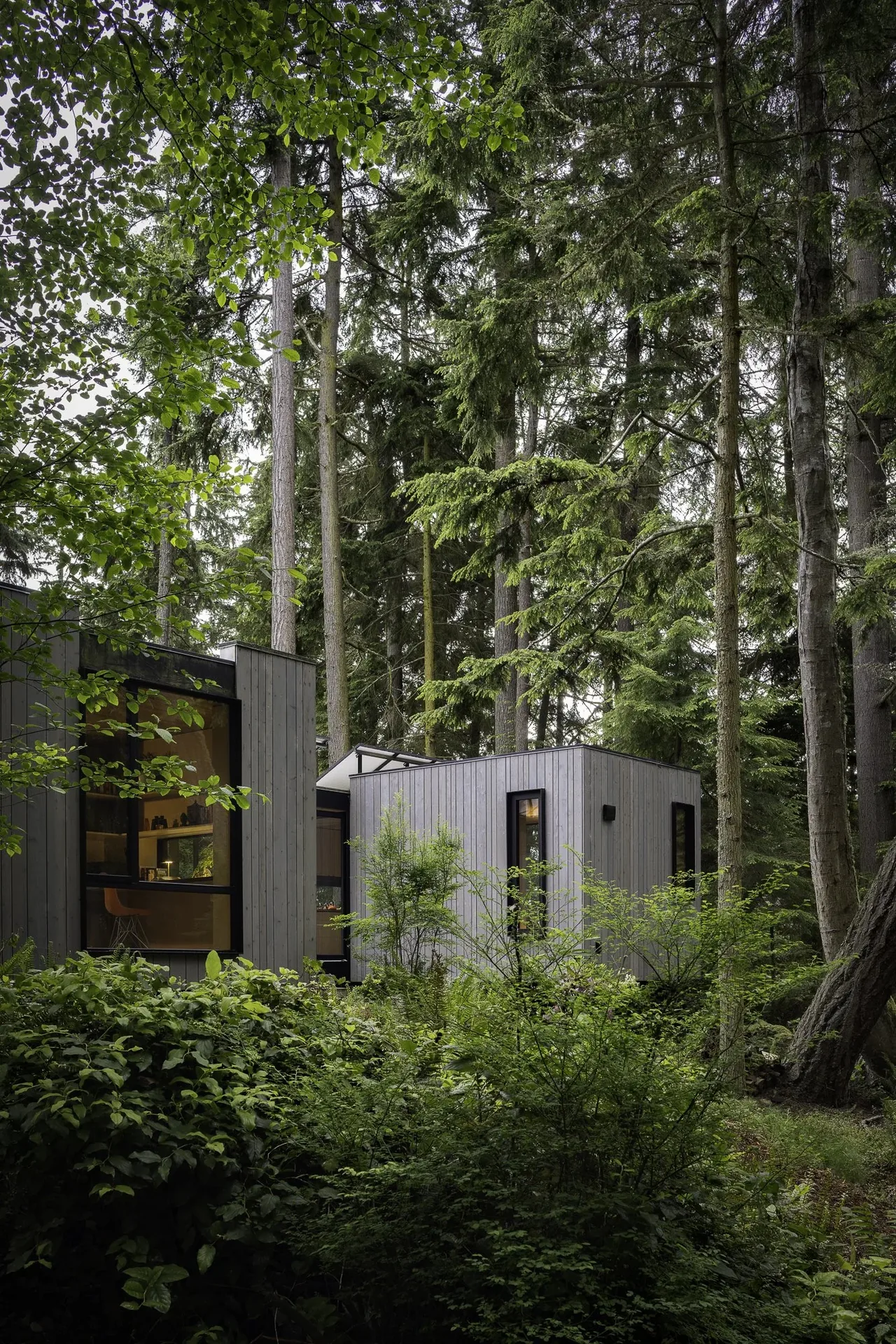 Gray wooden prefab home with vertical siding and large windows surrounded by tall trees and dense greenery.