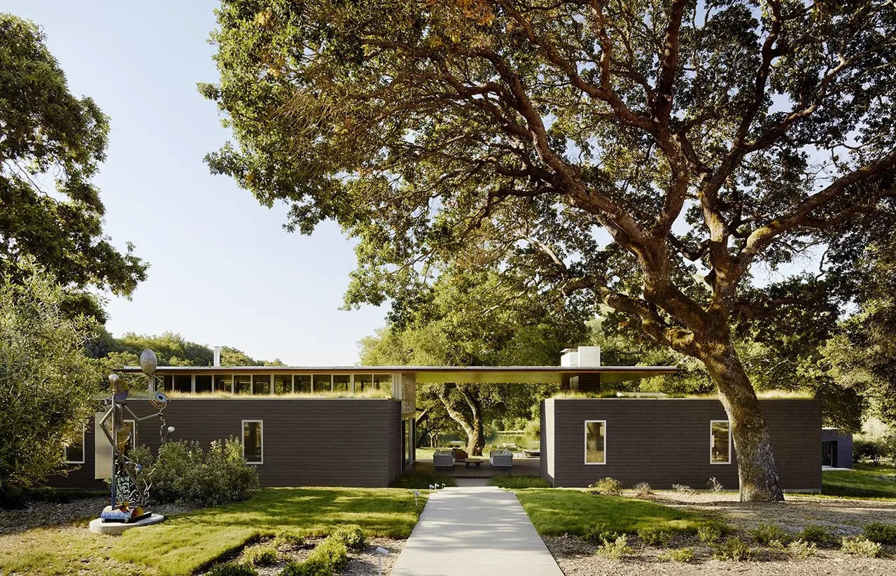 Modern single-story residence with a flat roof and large tree in front under clear sky.
