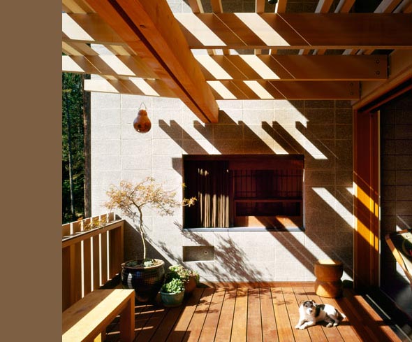 Wooden outdoor deck with pergola wood beams, potted plants, and a small dog relaxing.