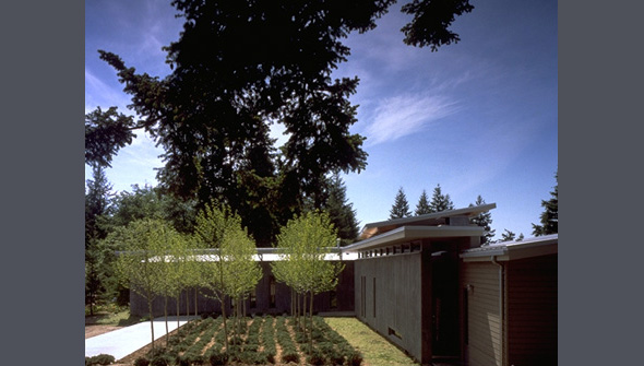 Modern single-story residence with flat roof and landscaped yard.