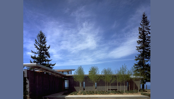 Front exterior of the Bruckner Residence featuring flat roof and wood siding.