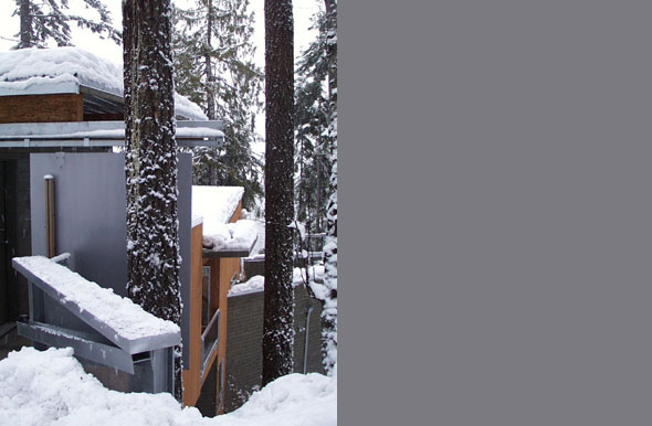 Modern house exterior amidst snow-covered trees with flat roof and wood siding details.