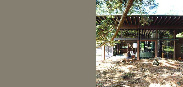 Modern house exterior featuring floor-to-ceiling glazing and exposed beams within a wooded setting.