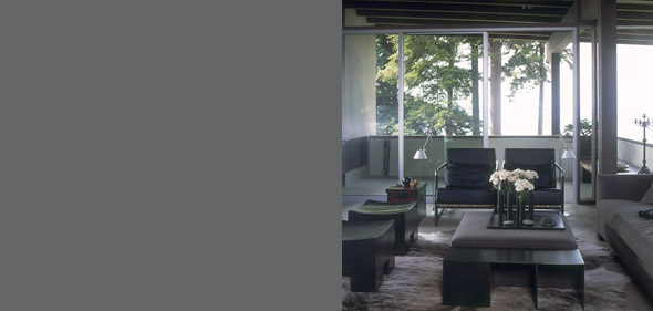 Living room with floor-to-ceiling glazing featuring modern furniture and a view of trees outside.