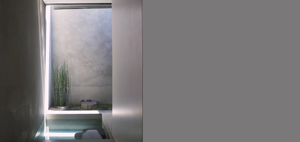 Interior view of a narrow water feature with a planter and textured wall.