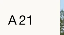 a21