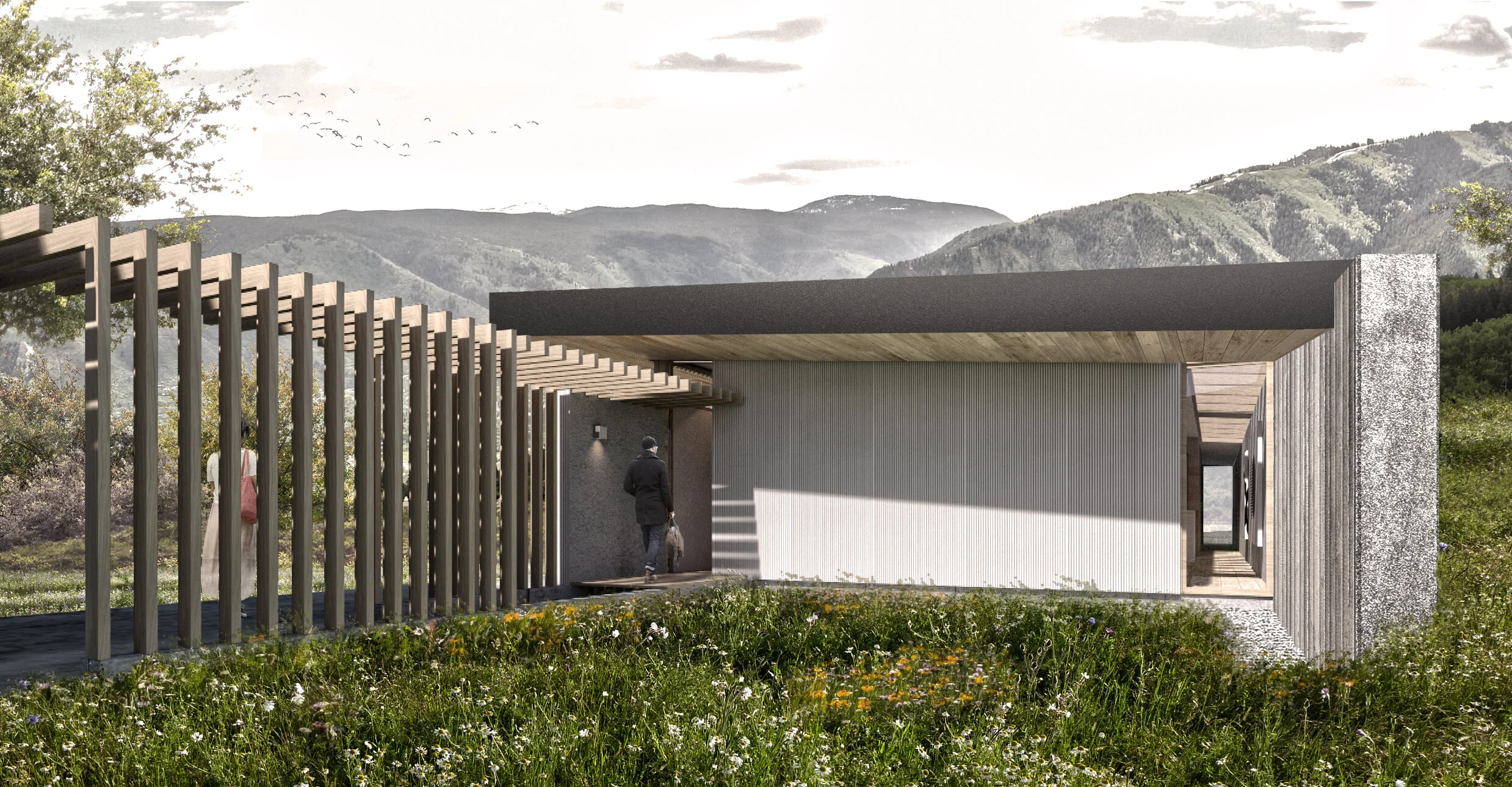Meadowood Guesthouse features a modern flat-roof design with a pergola walkway and concrete and wood materials.