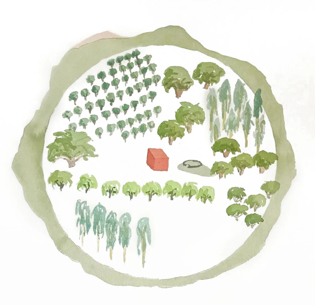 Watercolor illustration of a residence site plan showing tree groupings, a red building, and a circular element.