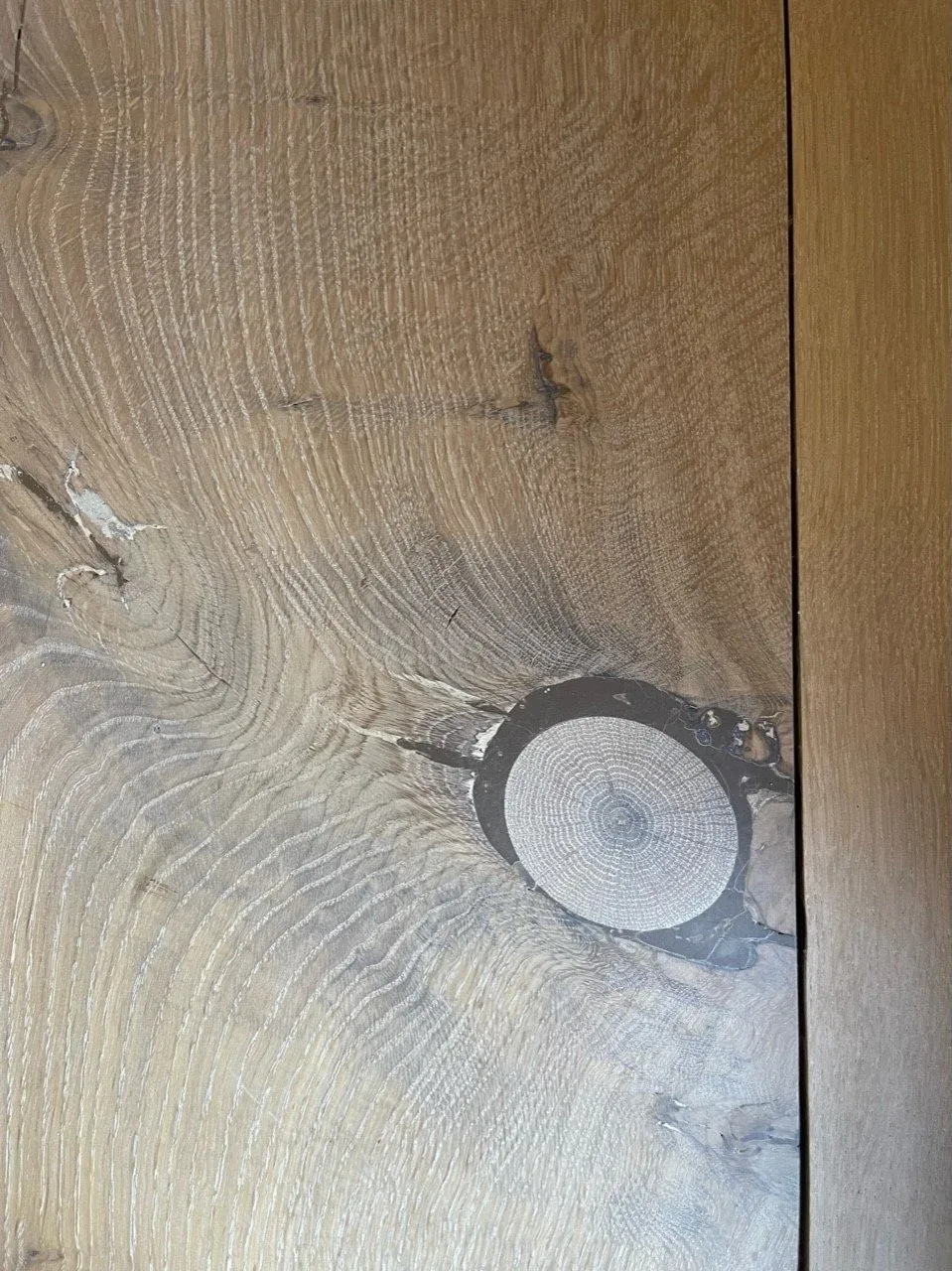 Wood surface with a filled circular knot and visible grain texture.