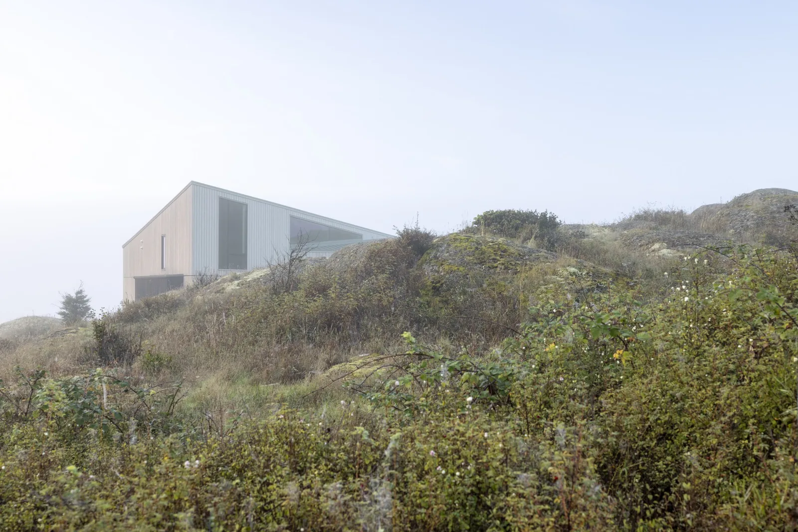 Exterior view of the False Bay house with a gable roof partially obscured by natural vegetation and rocks.