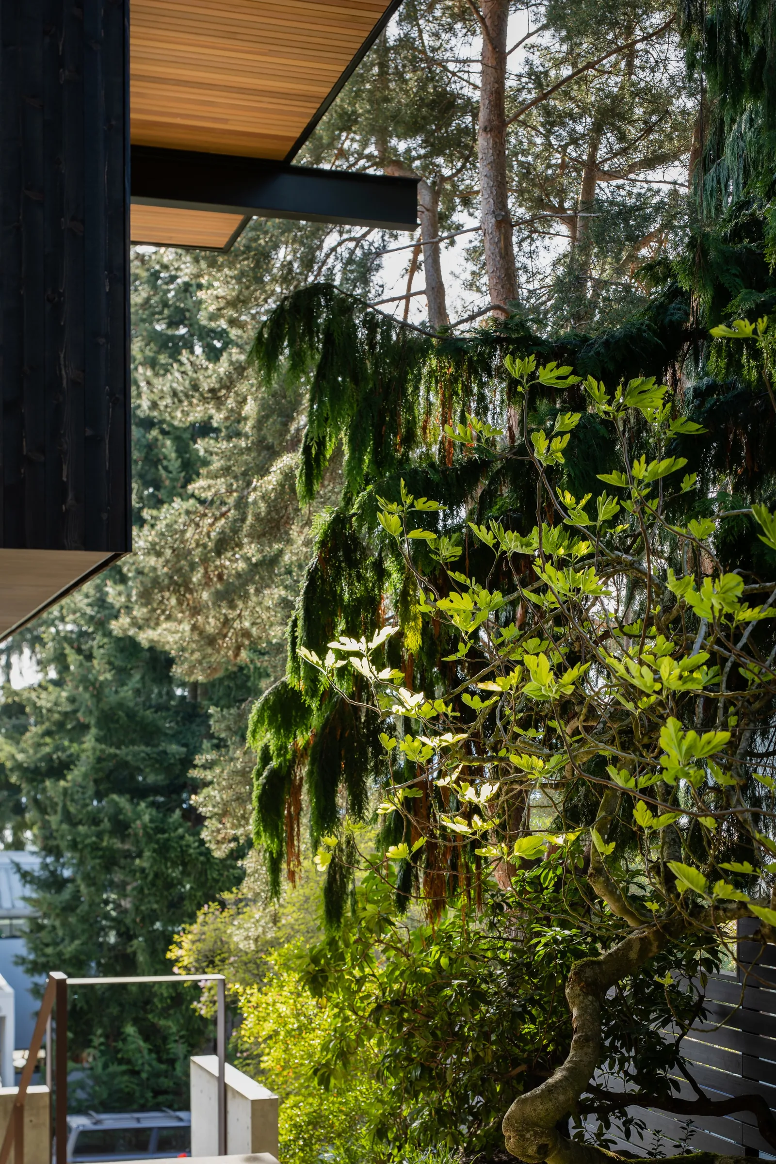 View of a building's exterior corner featuring wood siding and overhang next to dense foliage.
