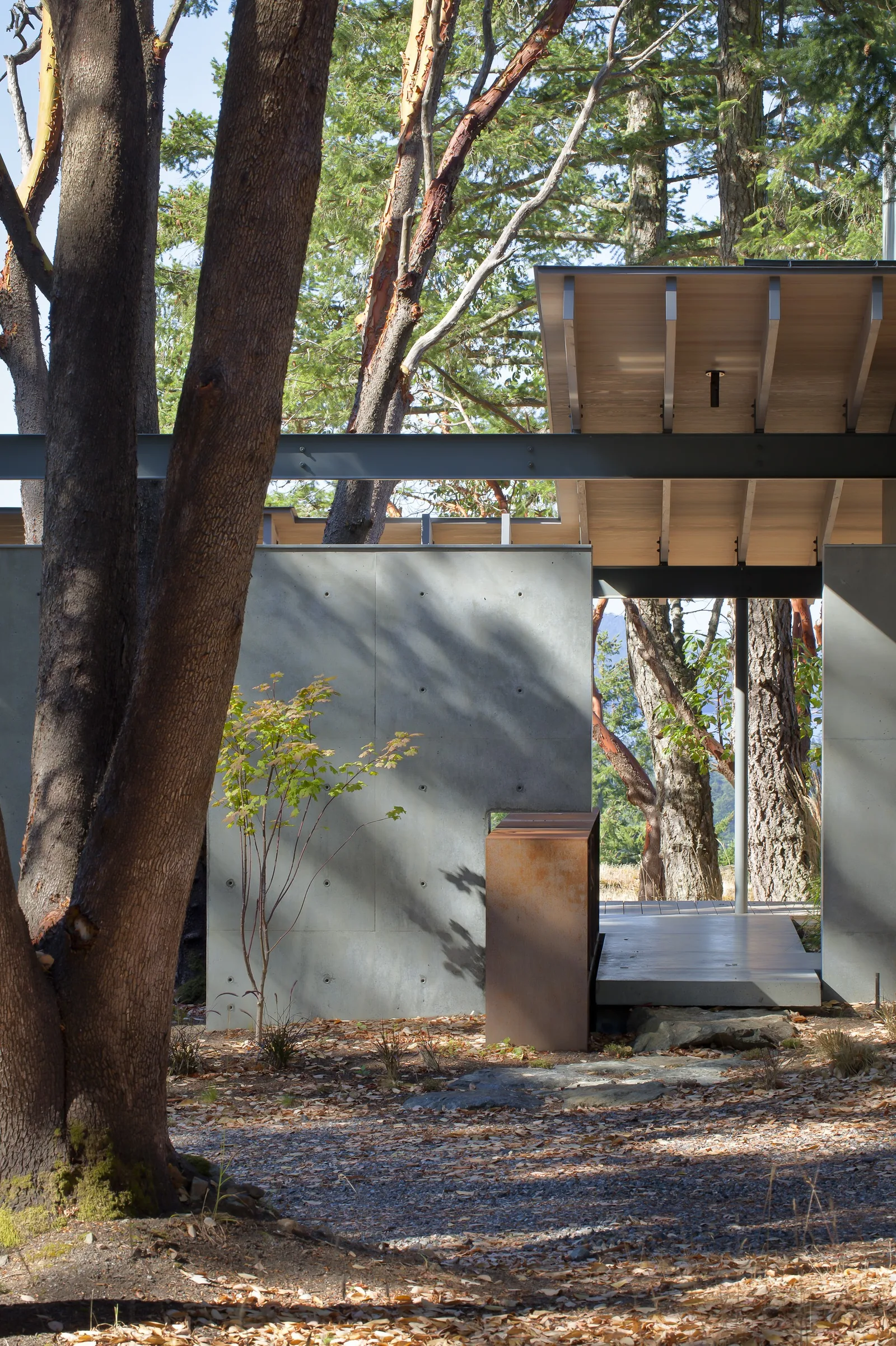 Partial exterior view showing a concrete wall and a wood-paneled flat roof with exposed beams among trees.