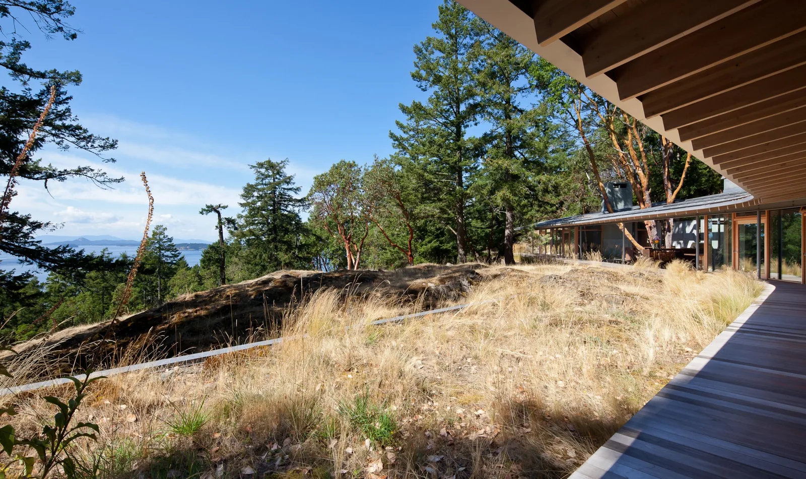 Exterior view of a modern house deck overlooking a natural hillside with trees and water in the distance.