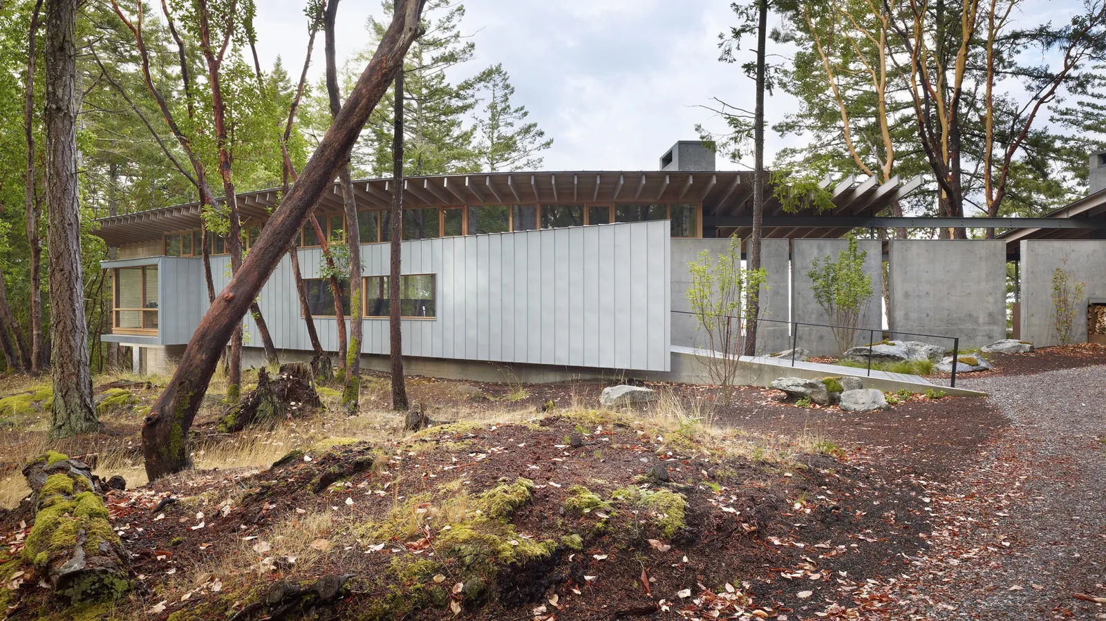 Metal-clad house with concrete elements set in a wooded landscape.