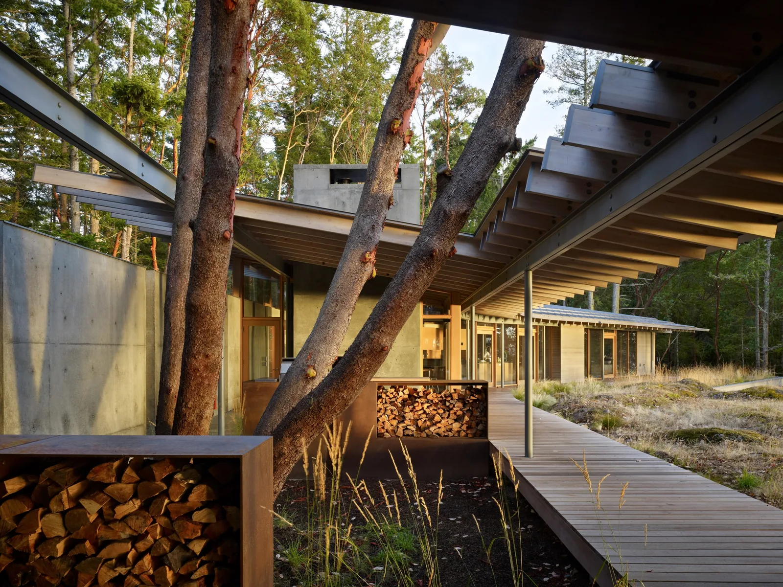 Modern residence with exposed structural beams, concrete walls, and integrated wood storage around trees.
