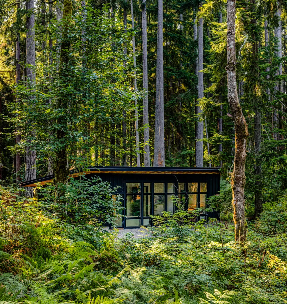 A modern single-story house features floor-to-ceiling glazing within a lush forest setting at Evergreen Escape.