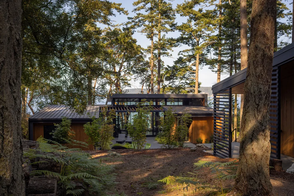 Exterior view of a modern forest house with wood cladding and metal roofing.
