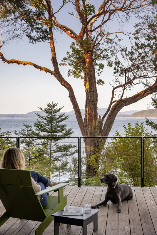 View from a wooden deck with cable railing overlooking water and trees, with a person and dog in the foreground.