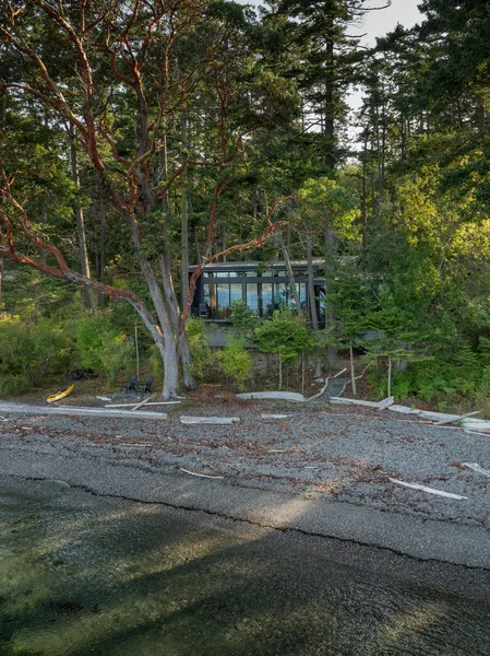 House in dense forest setting with floor-to-ceiling windows overlooking waterfront.