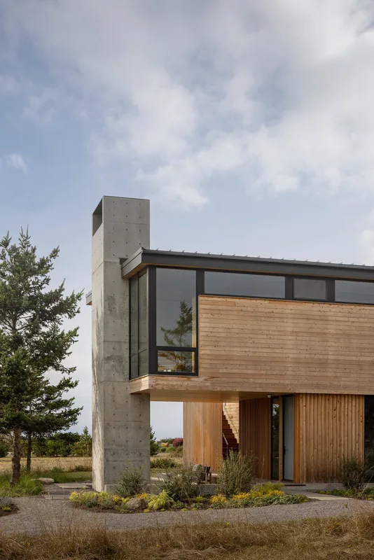 Exterior side view of a modern house featuring wood cladding and a concrete chimney.