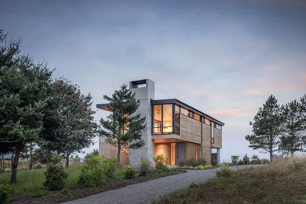 Modern two-story house with concrete chimney and wood cladding set in a natural landscape.