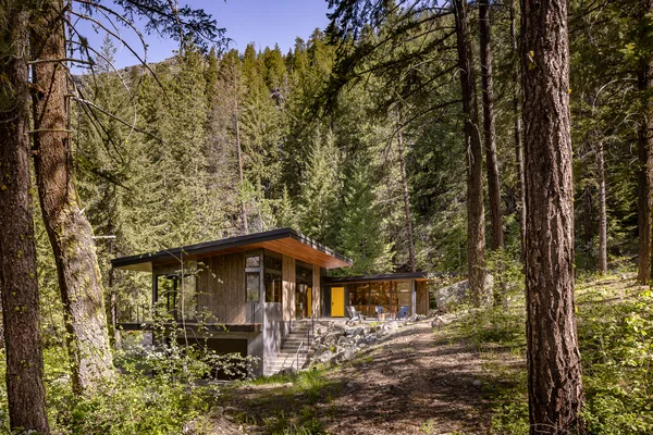 Hillside house featuring flat roof and large windows amidst a forested slope.