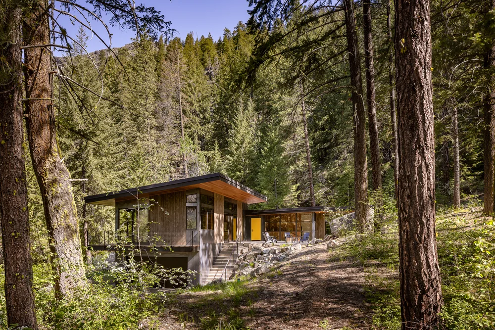 Hillside house with flat roofs, large windows, and a yellow door situated in a wooded area with coniferous trees.
