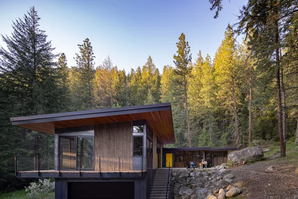 Hillside modern house featuring extensive wood siding and flat roof set among a forest of pine trees.