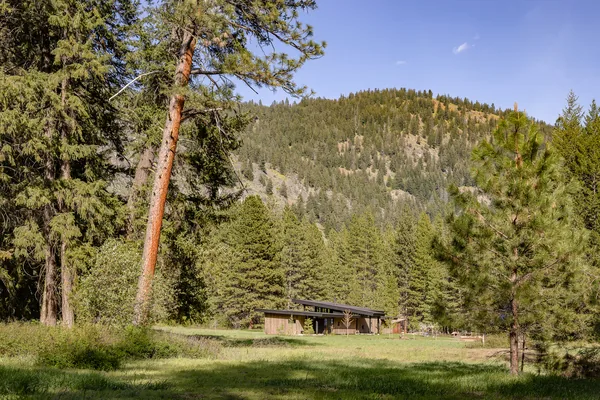 Lost river meadow project by Prentiss Balance Wickline features a single-story flat roof home in a forested mountain setting.