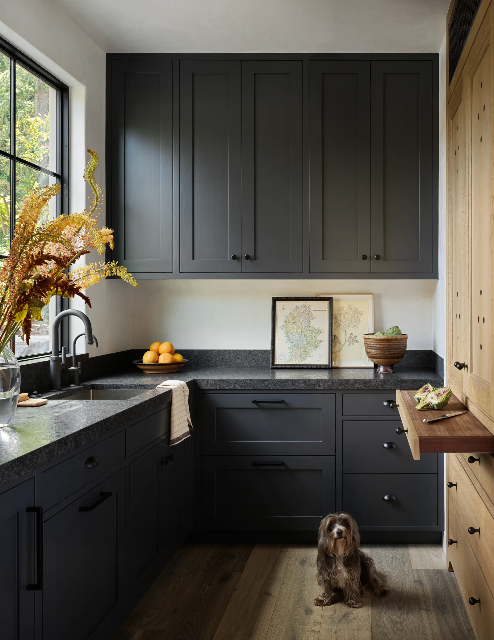Kitchen corner with charcoal gray and wooden cabinets, black countertop, and a small dog on the floor.