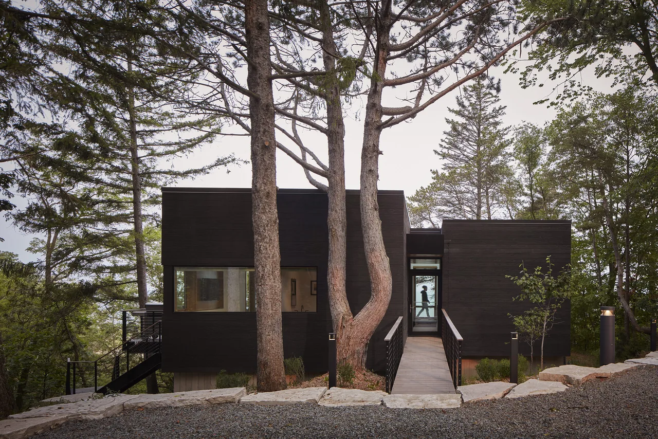 Front elevation of a contemporary rectangular wood-clad house with a ramp entrance set among mature trees.