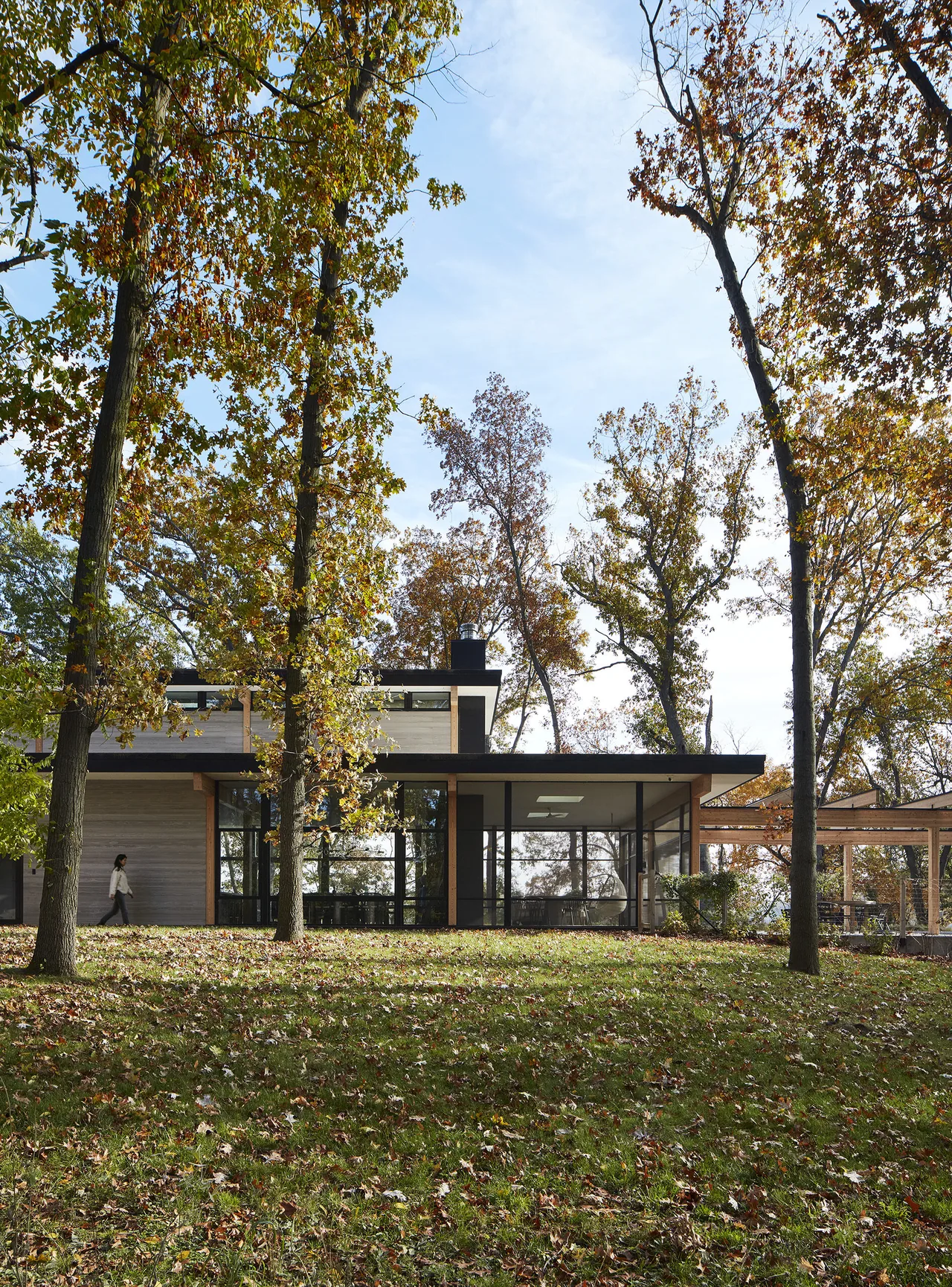 Exterior front view of a modern residential building amid autumn trees showing a flat roof and extensive glazing.