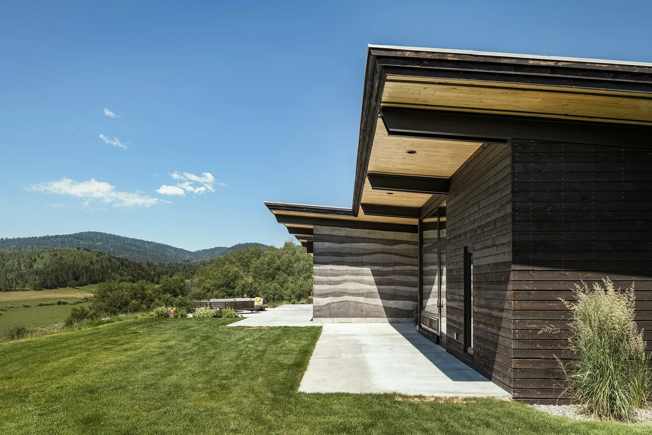 The image shows the exterior side of a modern residence with dark wood siding and flat roof extending over a concrete patio.