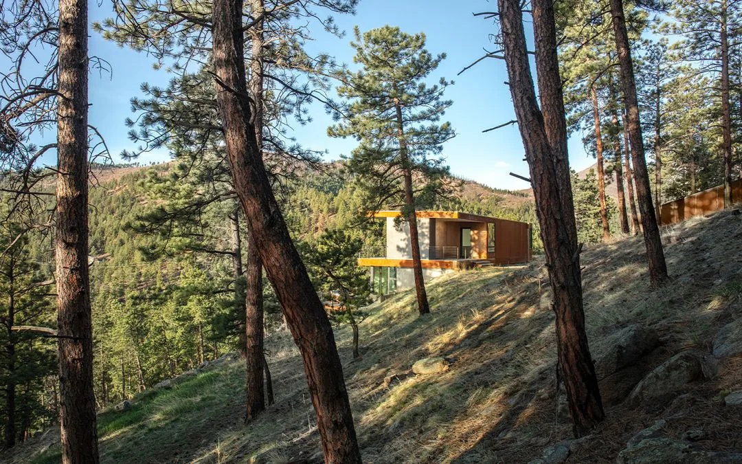 Puma Run house by Arch 11 sits on a sloped forest site with mountain views in Denver.