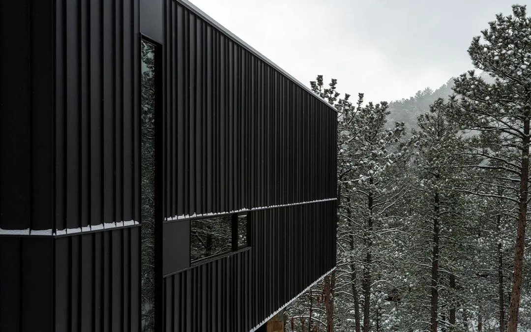 Black vertically paneled side facade of a contemporary building amid snow-covered pine trees.