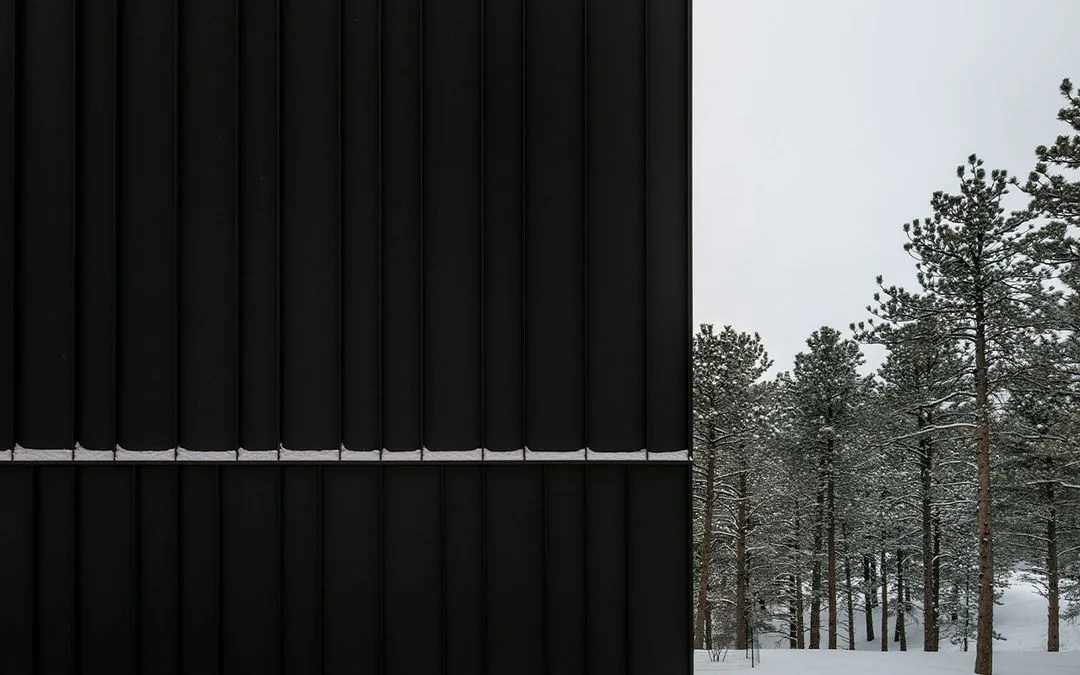 Dark vertical metal cladding on a building exterior with snow accumulation and forest background.