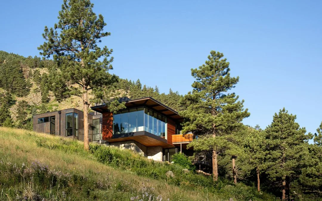 House 306 features extensive glazing and a cantilever on a sloped site amid pine trees.