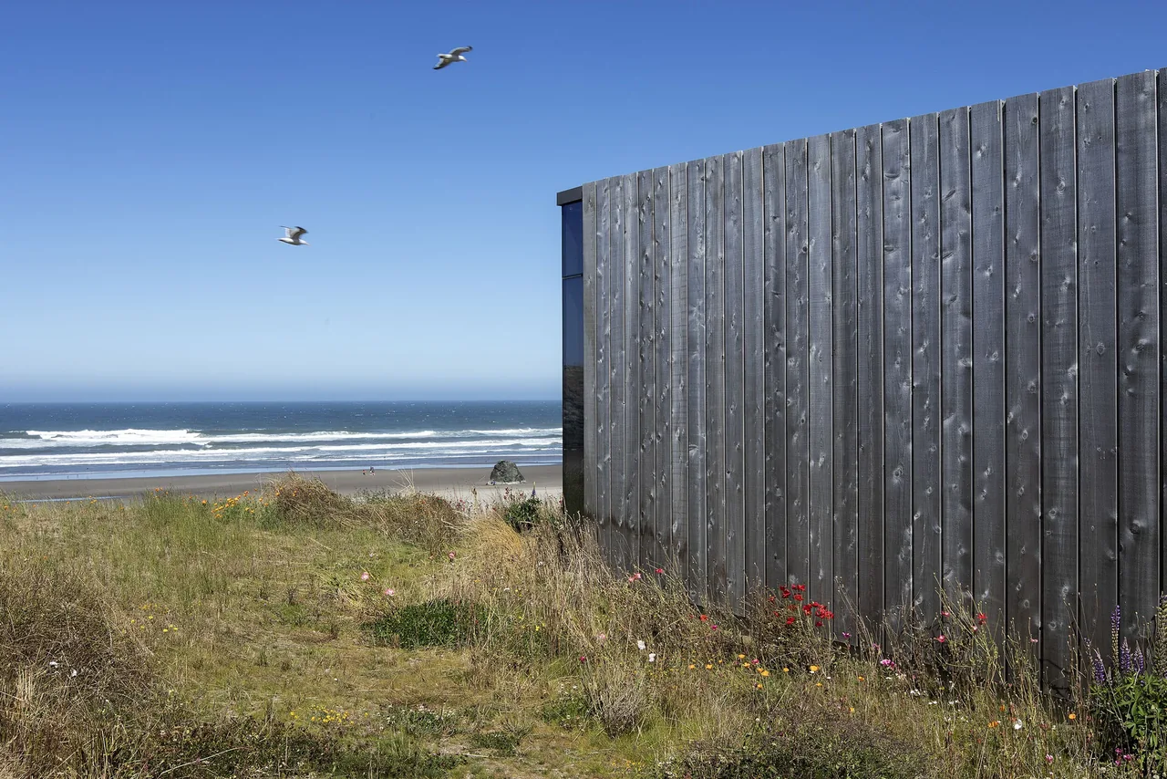 Side view of a modern vertical wood-paneled exterior wall overlooking the ocean beach.