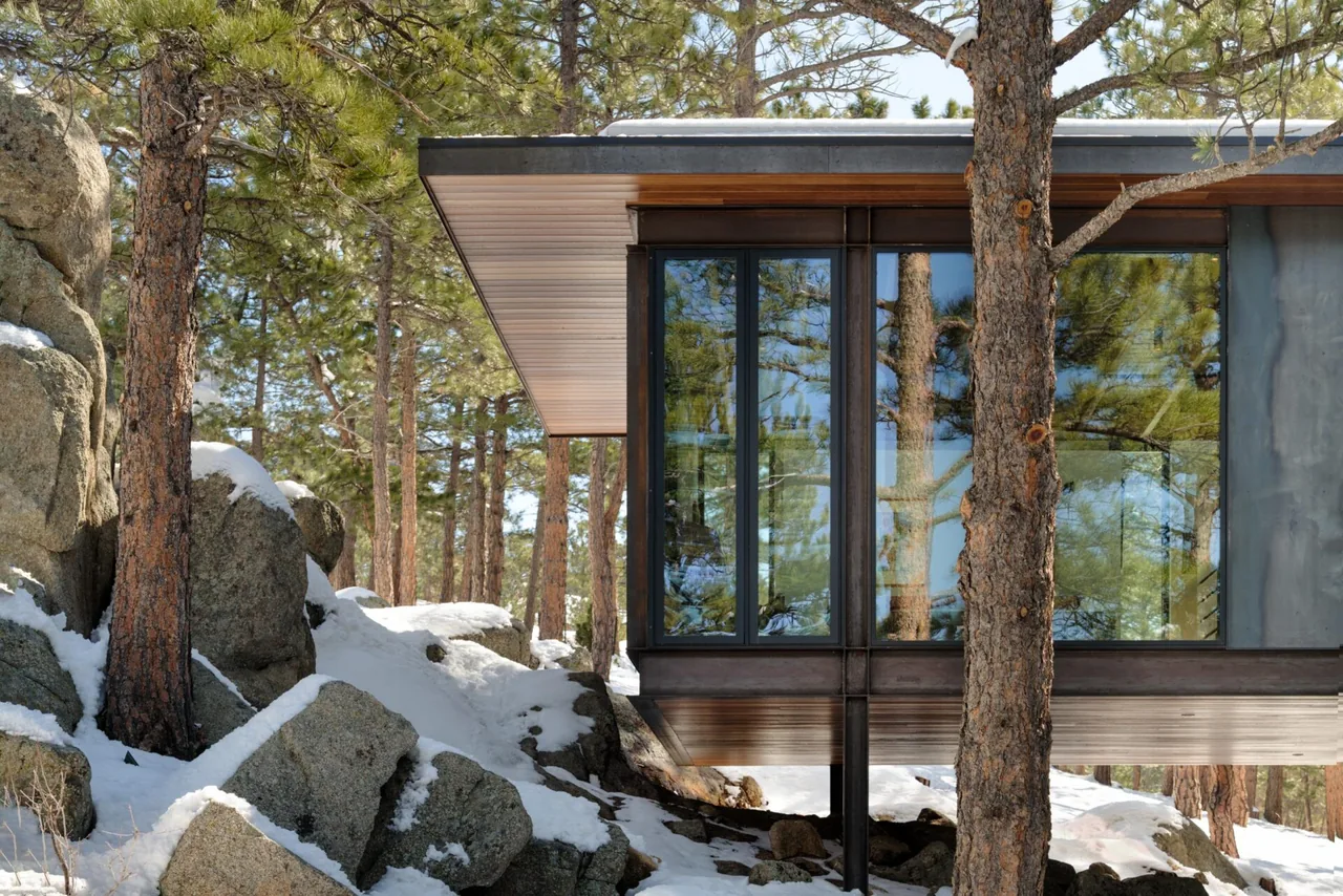 Cantilevered balcony with black-framed floor-to-ceiling glazing in a snowy pine forest setting.