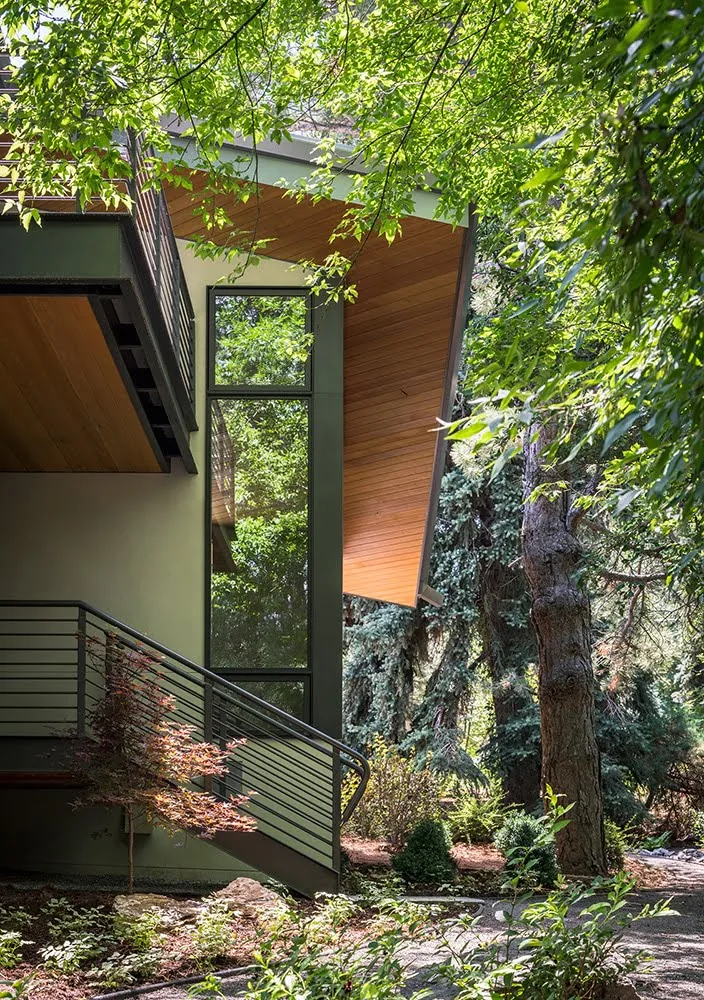 Gregory Creek Residence features wood-paneled soffits and black steel framed windows integrating with lush landscaping.