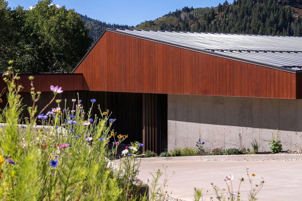 Modern building exterior featuring wood siding, concrete wall, and a sloped metal roof next to natural wildflowers.