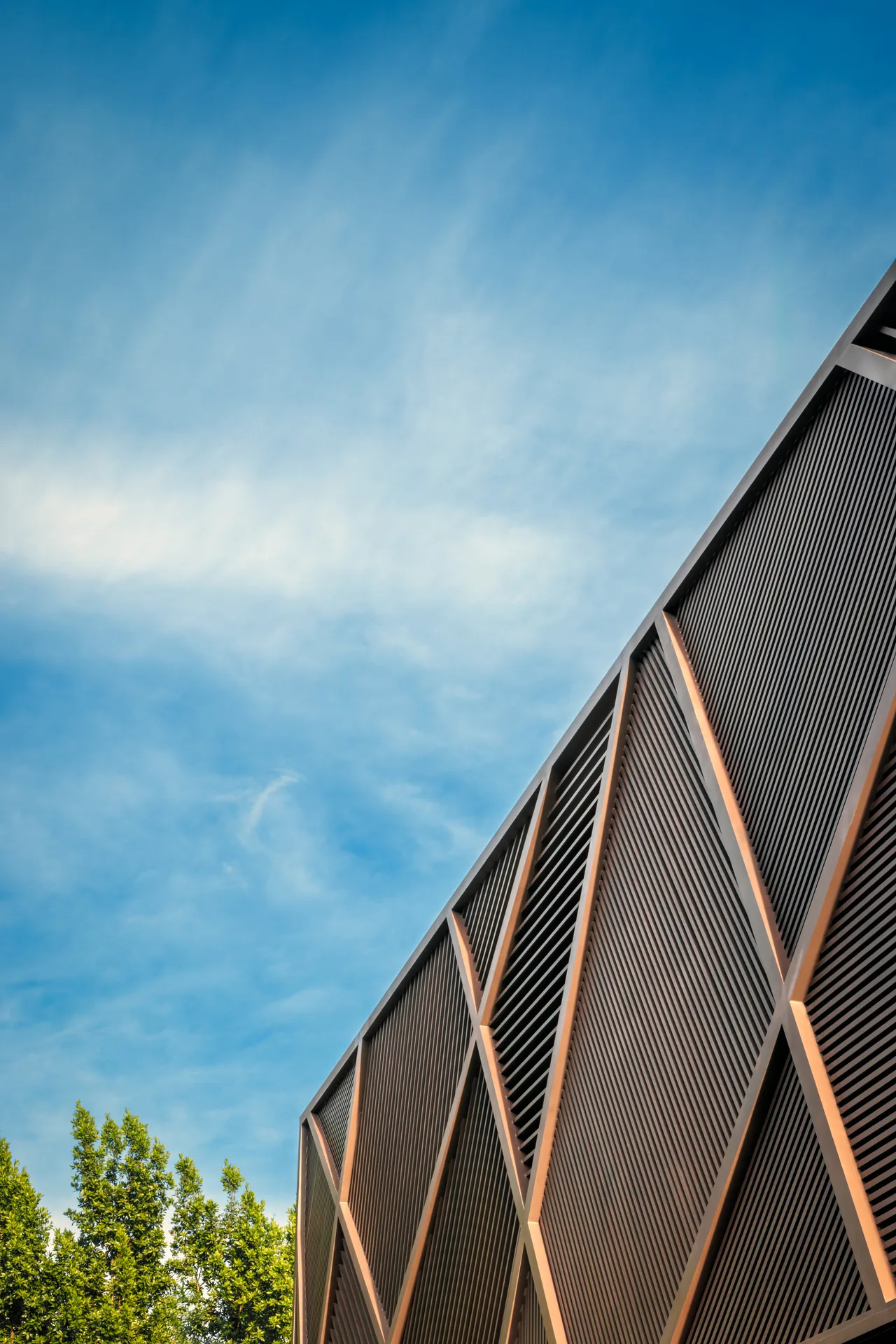The Kiaora Residence features a modern exterior with diagonal wooden slats framed in copper accents.