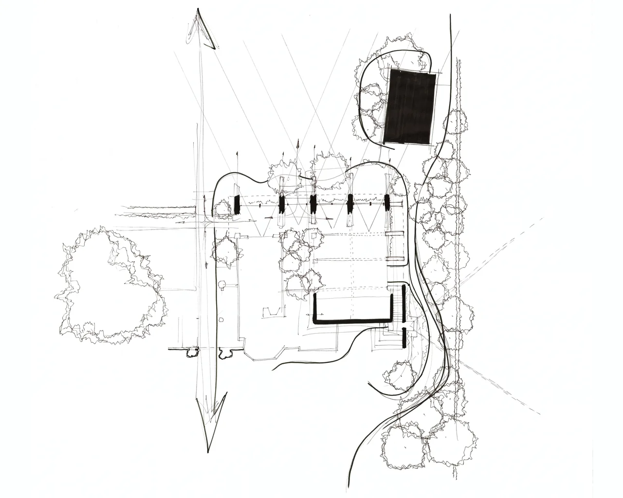Architectural site plan sketch with building footprints and landscaping elements.