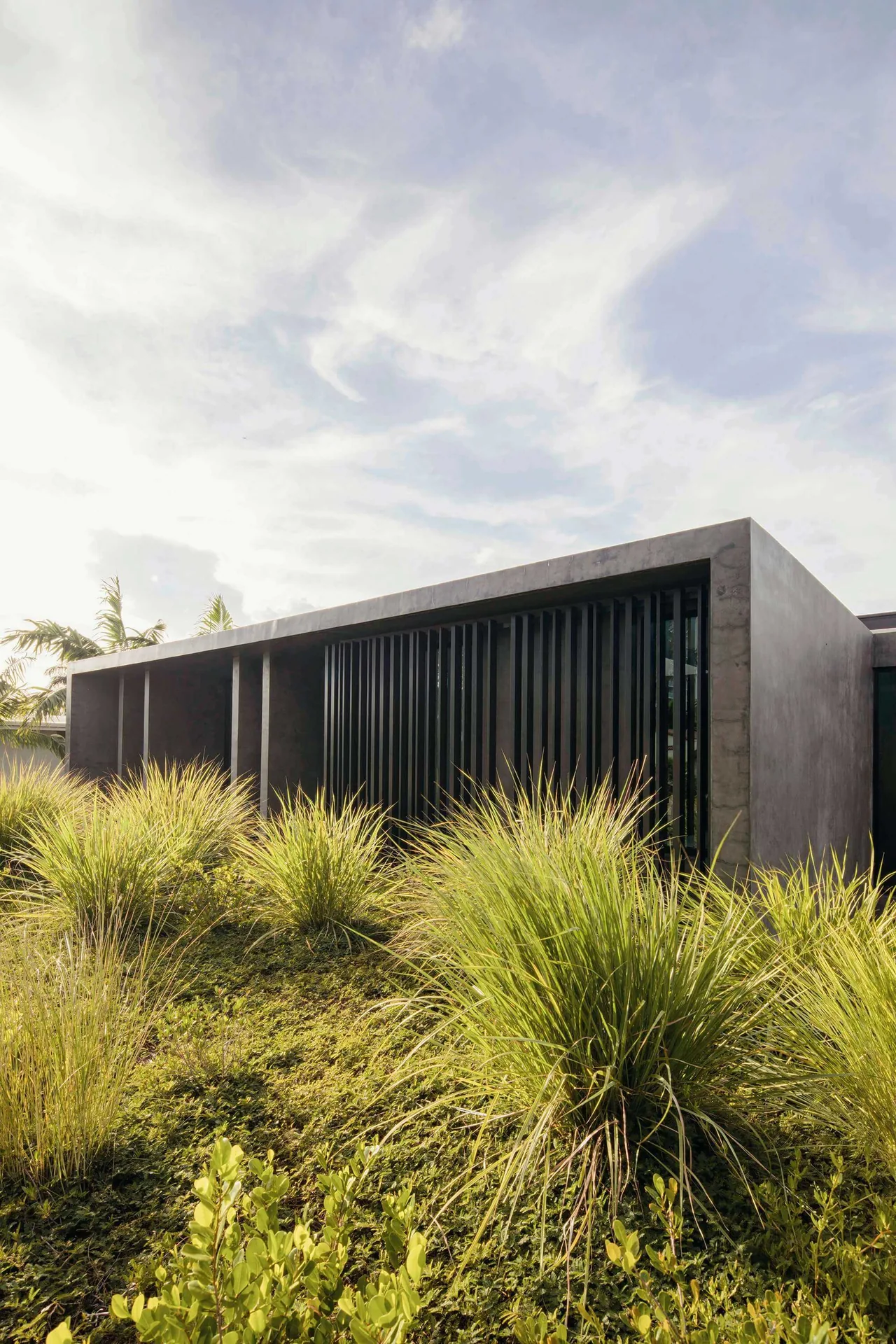 The Janoura Residence features a concrete exterior with vertical black slats and lush landscaping in front.