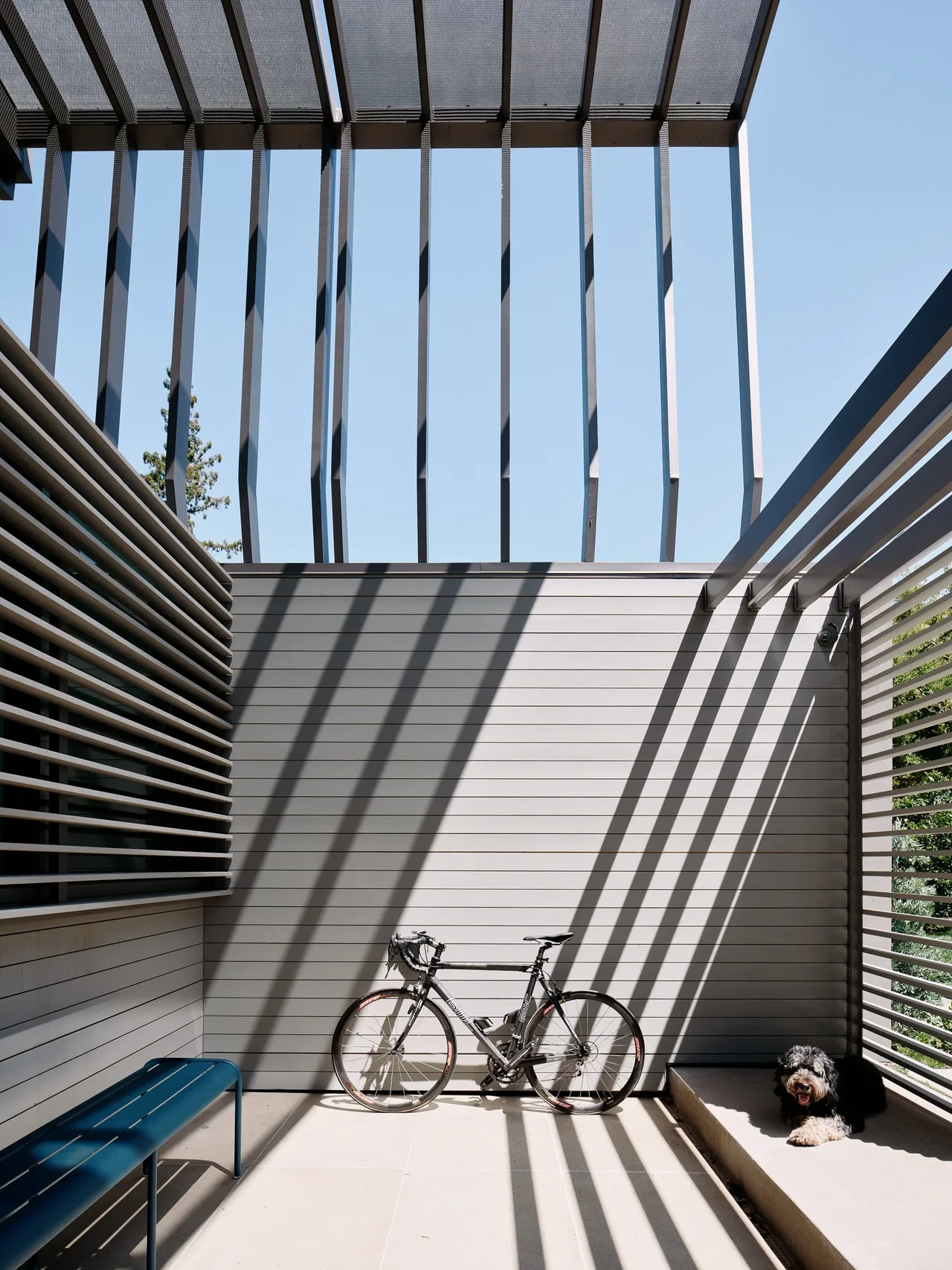 Outdoor space with vertical slat walls and metal mesh pergola casting shadows over a bicycle and a dog on a platform.