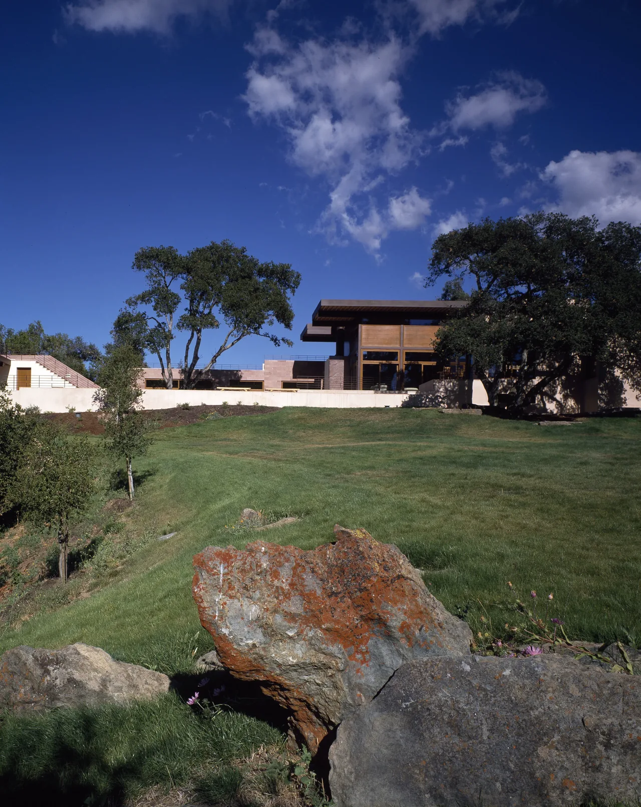 The Di Napoli Residence, designed by Stanly Saitowitz | Natoma Architects, features a modern design with stone elements and large trees in a hilltop setting.
